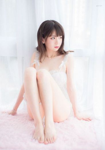 元泰公棚赛鸽公棚