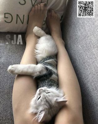 春江英雄之秀才遇到兵 电视剧