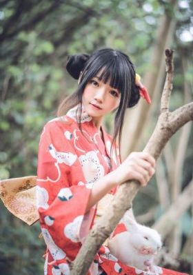 护心电视剧
