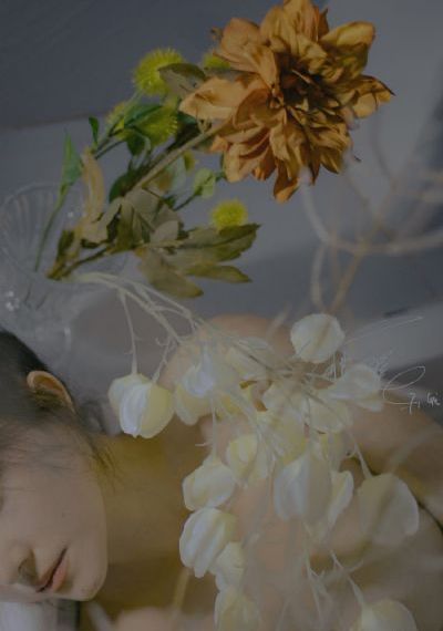 镜花风月之西施泪