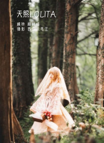 长乐曲全集免费观看完整版