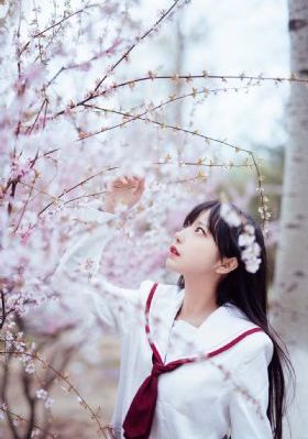 金色年华